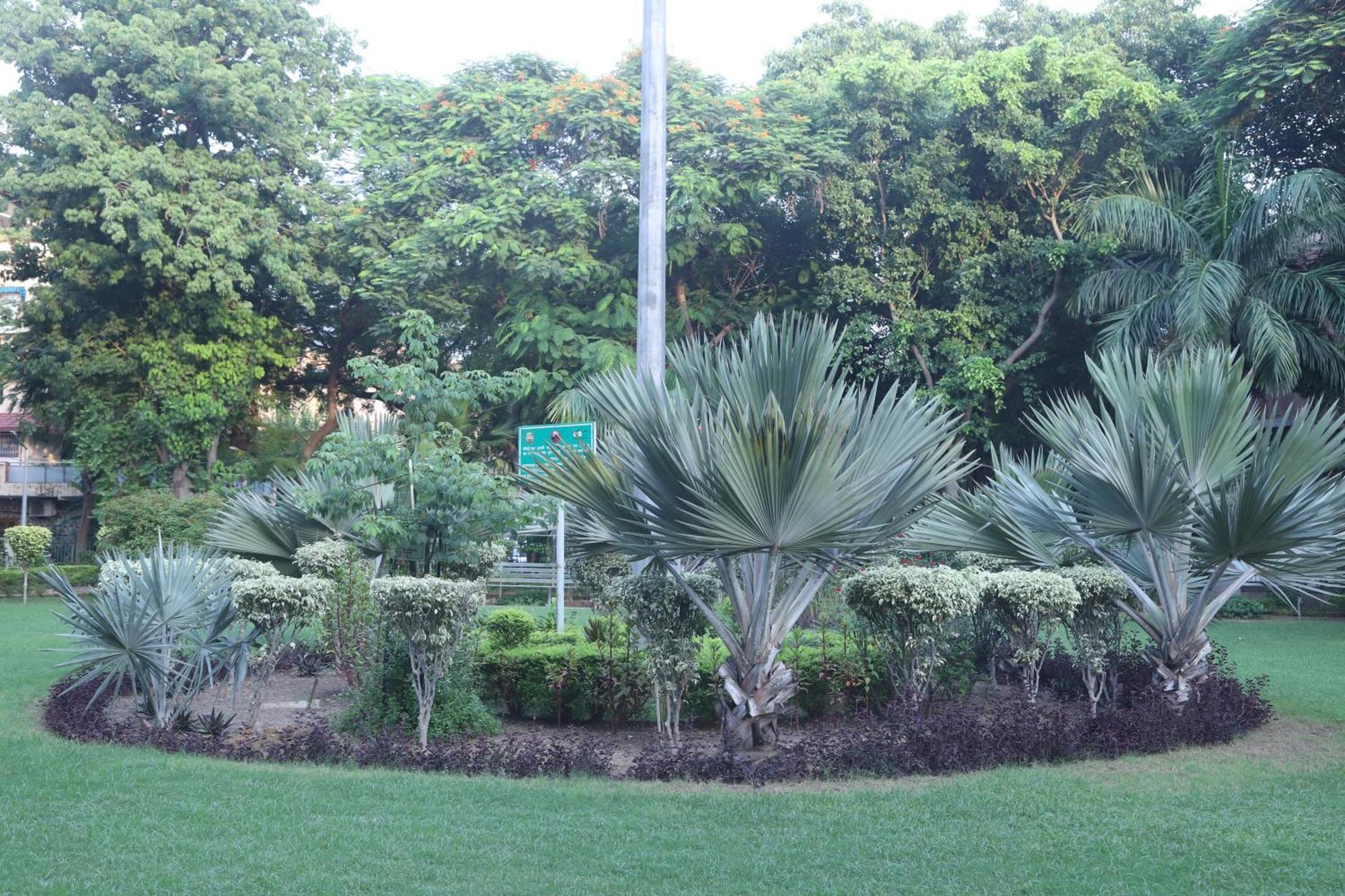 Divine India Service Apartment 3Bhk,B57 Sarita Vihar,Apollo Neu-Delhi Exterior foto